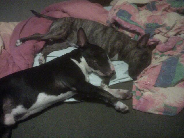 DSC00124.jpg