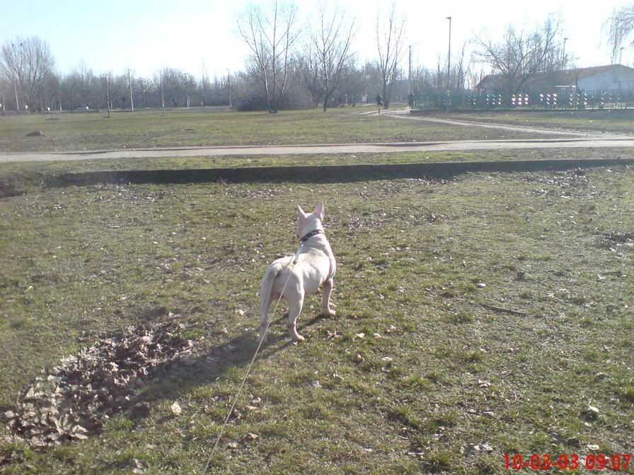 DSC00998-1.jpg