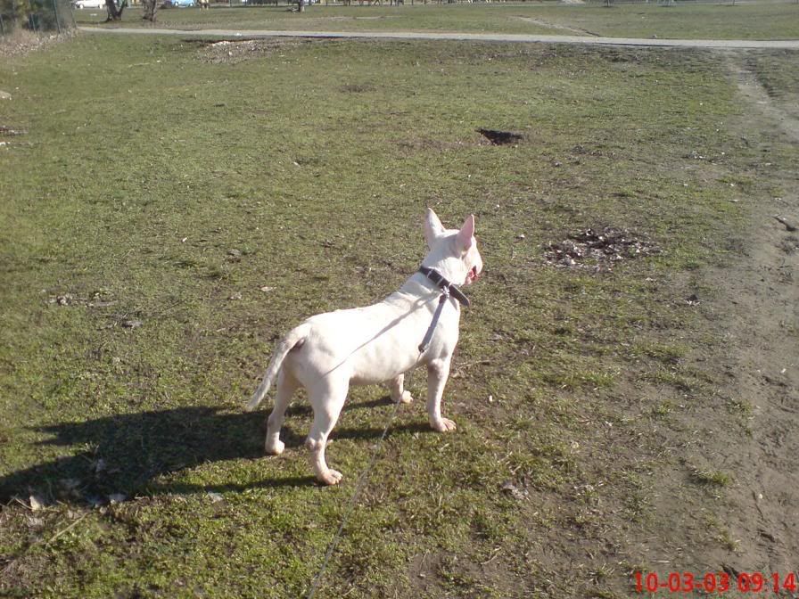 DSC01003-1.jpg