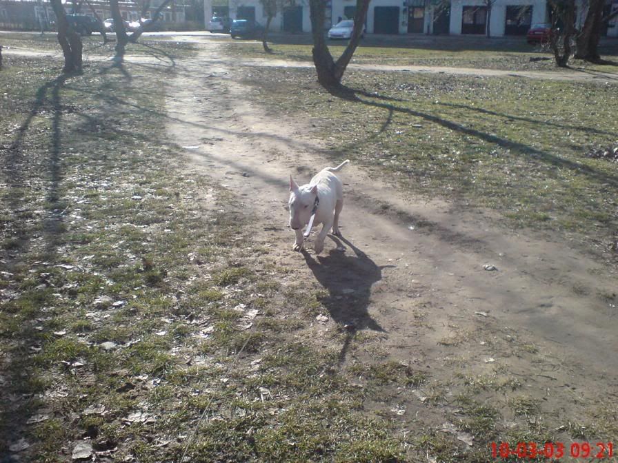 DSC01011-1.jpg