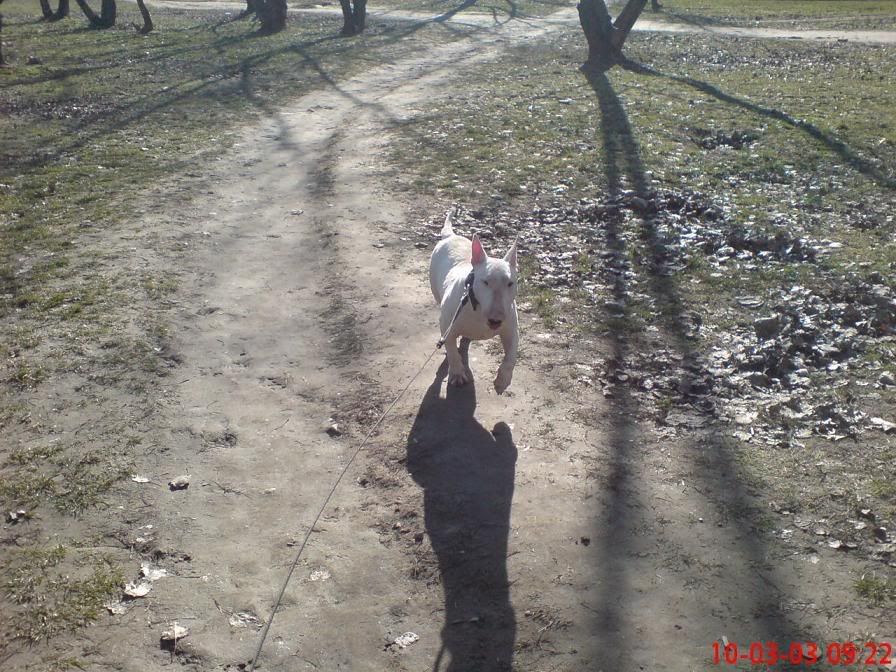 DSC01012-1.jpg