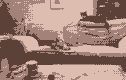 dancecat.gif