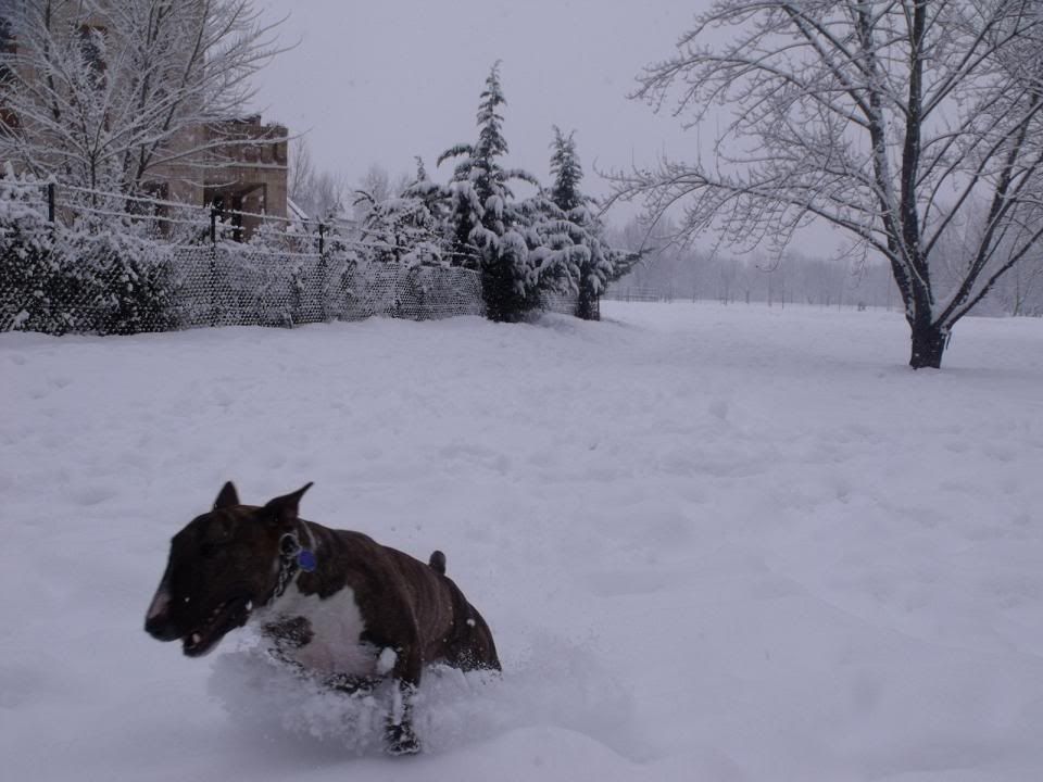 1002060003-1.jpg