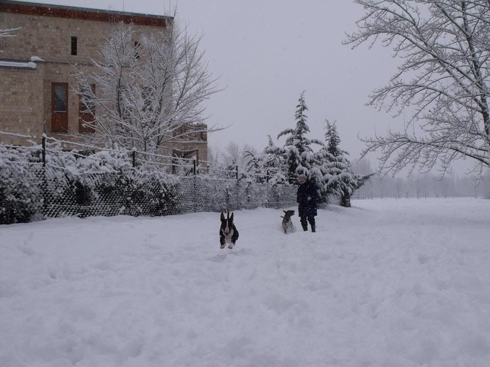 1002060021-1.jpg