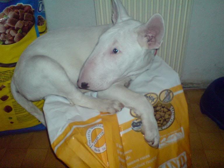 DSC01140-1.jpg