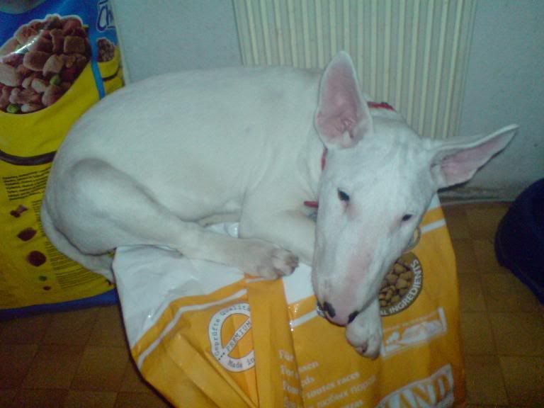 DSC01141-1.jpg