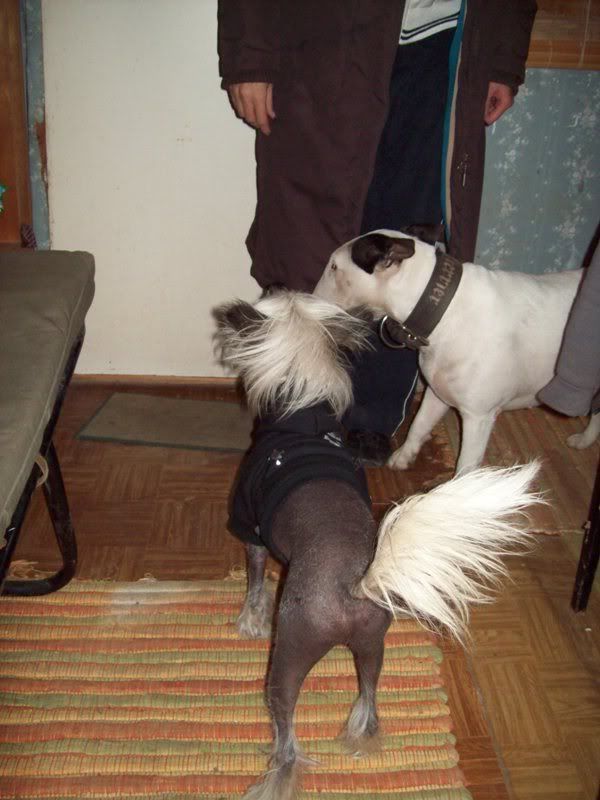Kodak_C813_249.jpg