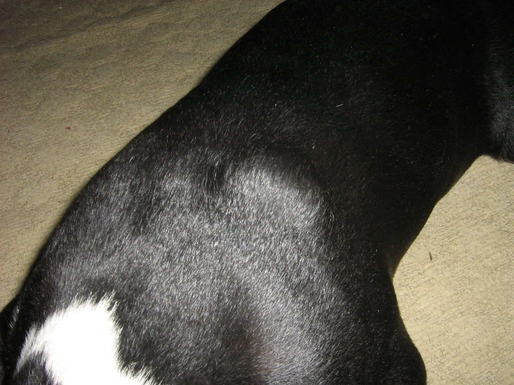 pp002.jpg