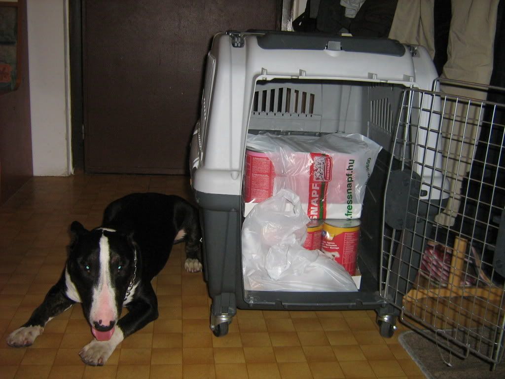 box005.jpg
