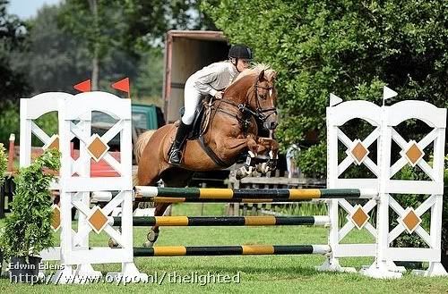 [img width=500 height=329]http://i192.photobucket.com/albums/z63/sierella/goldfire4.jpg[/img]