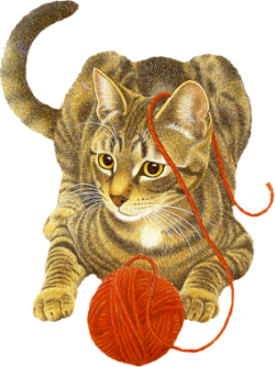 Cat01_AB.png picture by viumor2