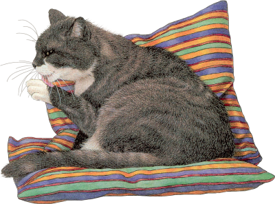 Cat06_AB.png picture by viumor2