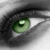 green eye avatar Pictures, Images and Photos