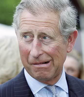 prince charles photo: Prince Charles - Royal Idiot Prince-Charles-A-Royal-Idiot.jpg