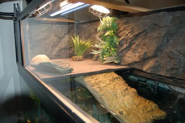 pet-turtle-a-diy-turtle-topper-above-tank-basking-platform-provides