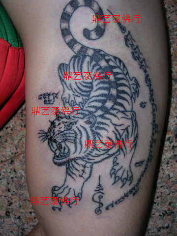 Chinese Tiger tattoo | Chinese Tiger tattoo gallery