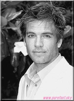 Michael Weatherly