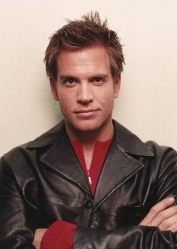 Michael Weatherly