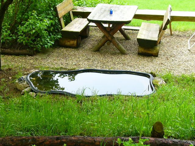 welche steingarten pflanzen? - Hausgarten.net