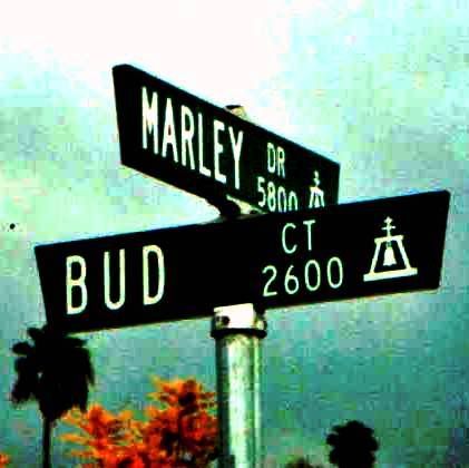 Bud_Marley_square_edit-1.jpg