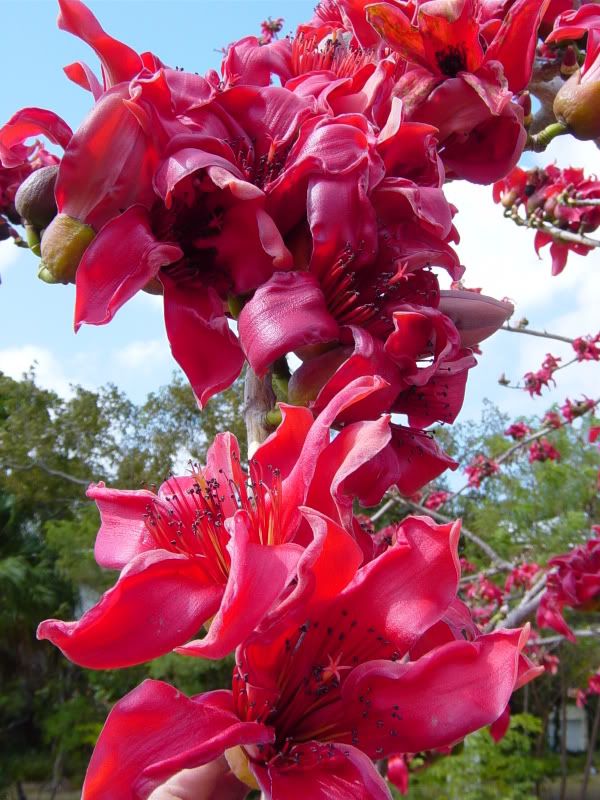 DSC00007.jpg