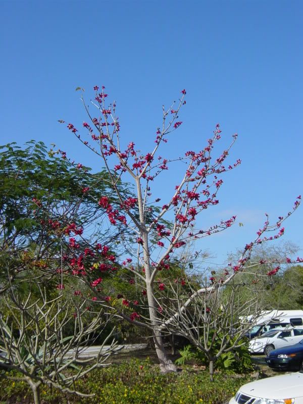 DSC00013.jpg