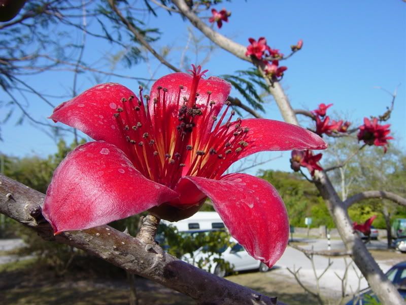 DSC00029-2.jpg