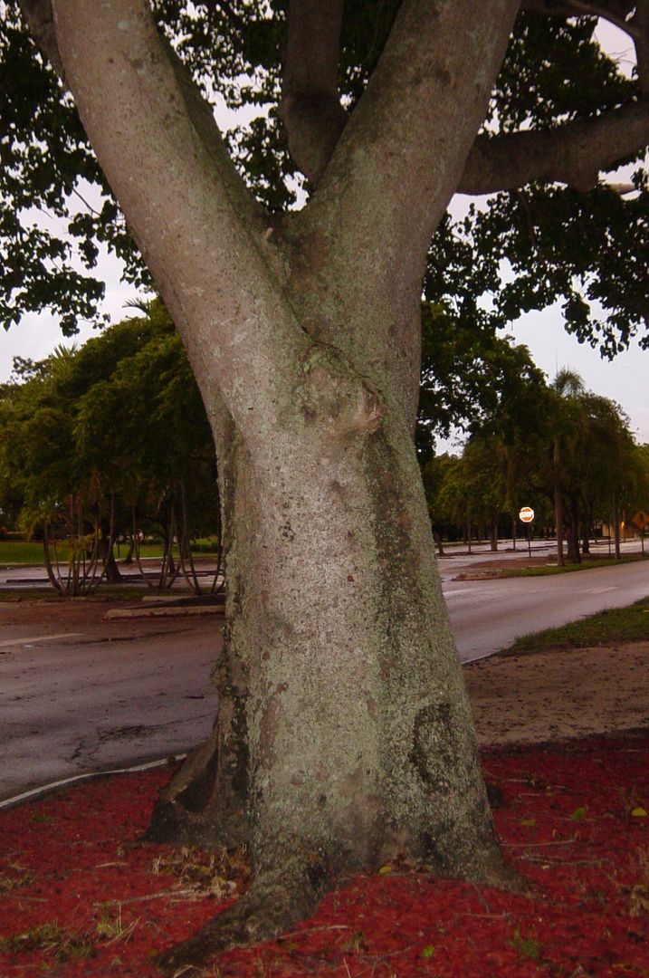 DSC03078.jpg