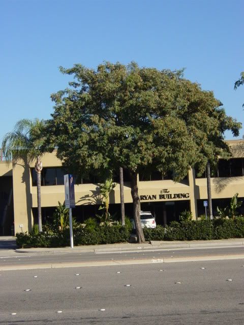 DSC04503.jpg