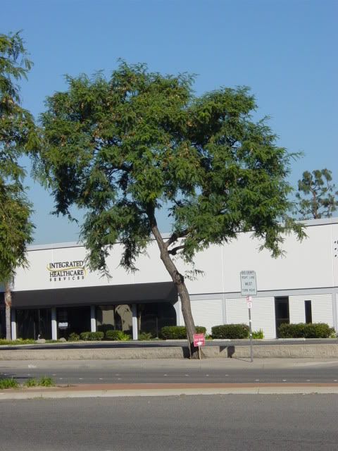 DSC04505.jpg