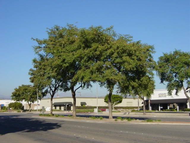 DSC04506.jpg