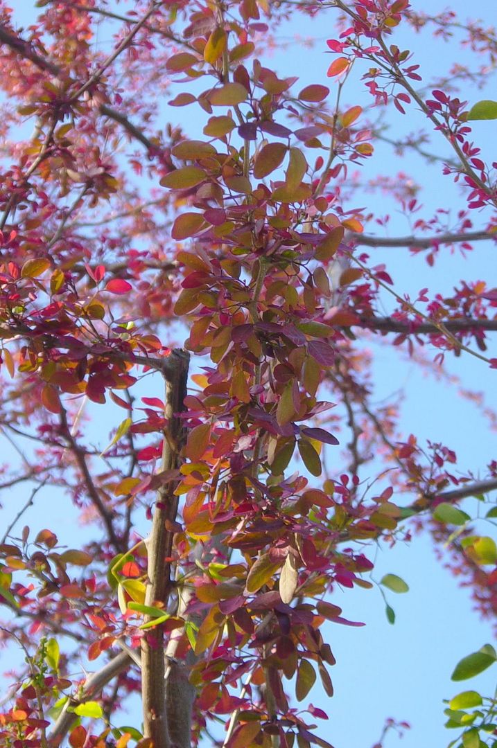 DSC05021.jpg