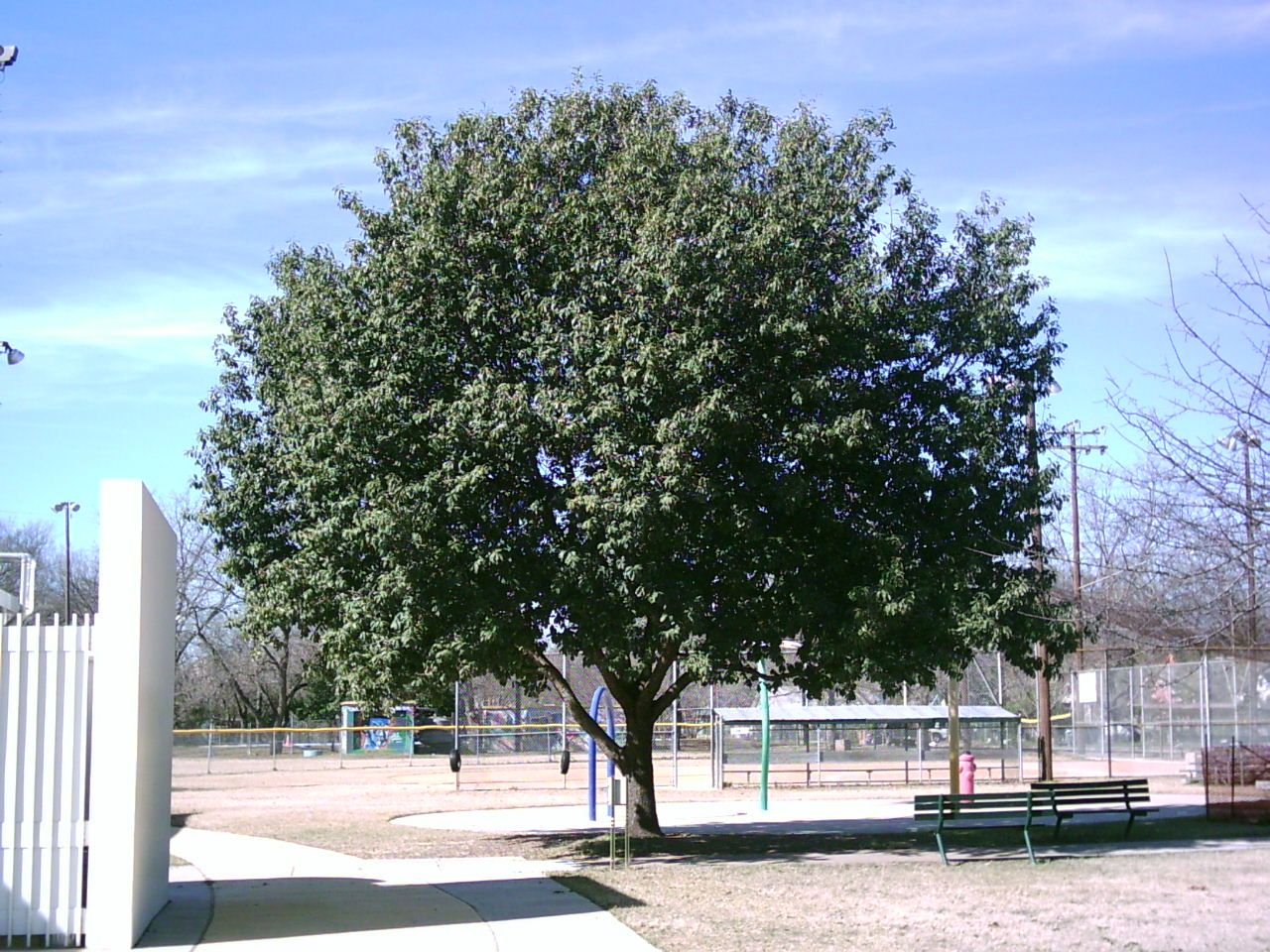 PHTO0139-2.jpg