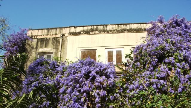 The Dictionary of Australasian Biography by Philip Mennell Abbott, Hon