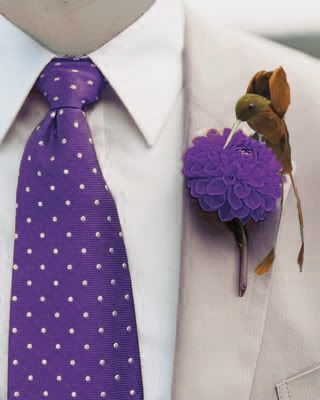 birdbout-1