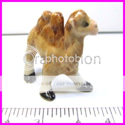Premium Gift Dolls House Miniature Ceramic Camels  