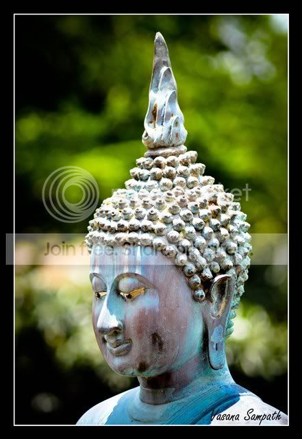 budhha1.jpg