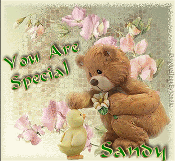 00109SANDY-vi.gif