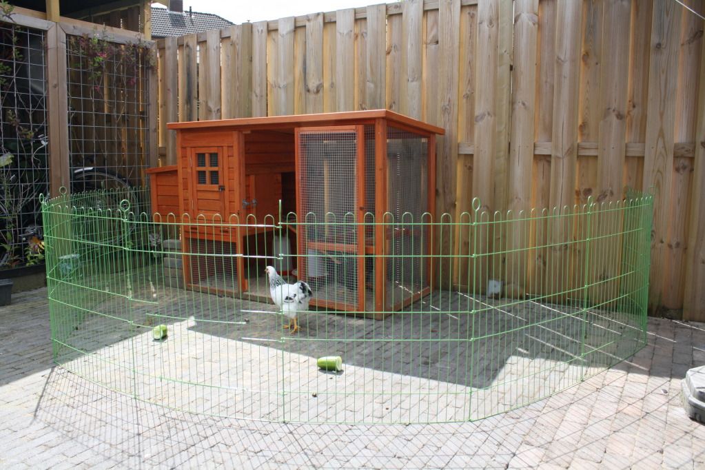 Kids2012001-12.jpg