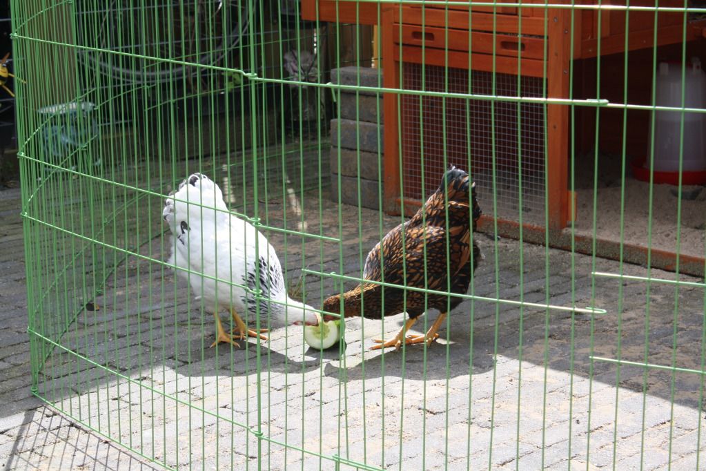Kids2012003-12.jpg