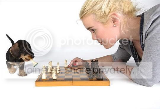 chess.jpg