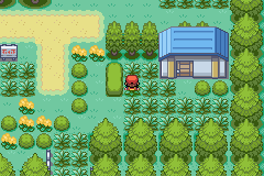 [PokeCommunity.com] |Pokemon Neon|
