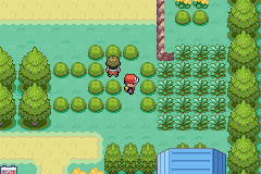[PokeCommunity.com] |Pokemon Neon|