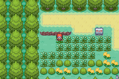 [PokeCommunity.com] |Pokemon Neon|