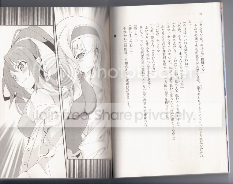 Infinite Stratos Light Novel Ending