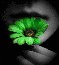 83d983f19f3429d92955be9xi9.gif