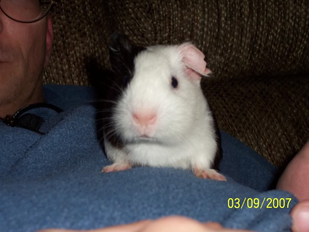 Picture014.jpg